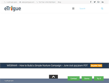 Tablet Screenshot of etrigue.com